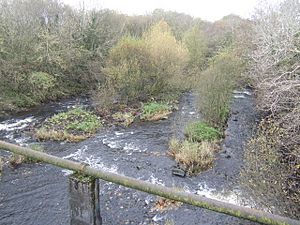 The Kells Water, view downstream - geograph.org.uk - 611671