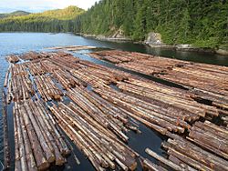 Timber awaiting shipment, Port Harvey