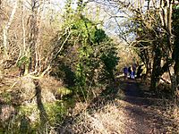 Towpath, Thames and Severn canal, near Frampton Mansell - geograph.org.uk - 1133865.jpg