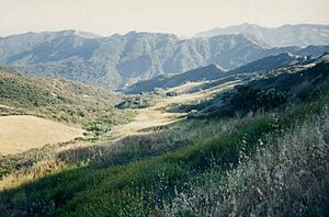 Trippet Ranch in Topanga State Park
