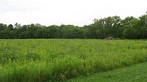 Wapello Land and Water Reserve
