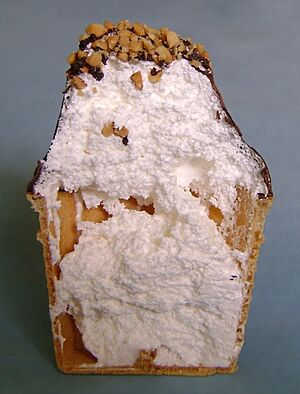 Warm ice cream 2
