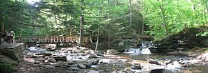 WatersMeet panorama Ricketts Glenn State Park