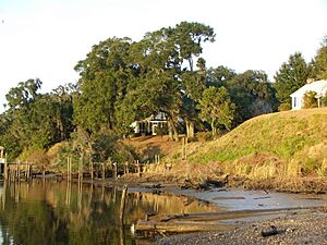 Willtown Bluff, SC