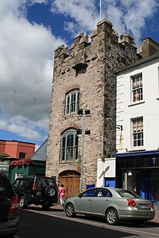 Youghal Tyntes Castle 2007 08 07