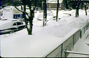 1967 Chicago blizzard Facts for Kids