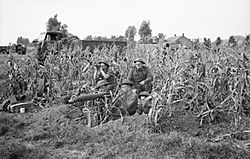 A Vickers machine-gun team of 7th Royal Northumberland Fusiliers, 59th (Staffordshire) Division in position in a field of corn at Someren in Holland, 21 September 1944. BU1086