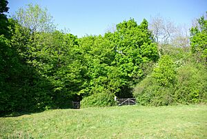 A small gate and a big gate - geograph.org.uk - 419826