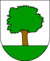 Coat of arms of Abaltzisketa
