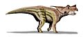 Achelousaurus BW