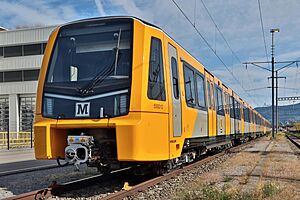 BR Class 555 St. Margrethen