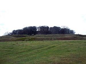 Northern ramparts of Badbury Rings