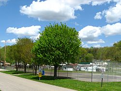 Bancroft Community Park in the spring