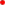 Basic red dot.png