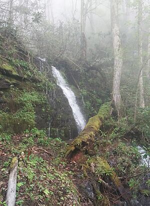 Big Rock Falls North Carolina.jpg