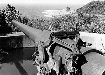 Blunts Point Battery - American Samoa - 1986.jpg