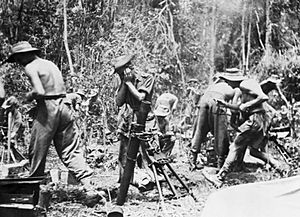 British 3-inch mortar detachments support the 19th Indian Division's advance along the Mawchi Road, east of Toungoo, Burma
