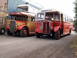 Buses at the Aston Manor Transport Museum - geograph.org.uk - 359475