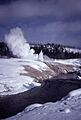 Cascade Geyser-Bower1998
