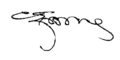 Cemal Gürsel-signature