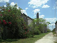 Chenché de las Torres, Yucatán (06)