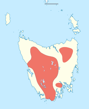 Distribution of Bellendena montana.svg