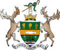 Down arms