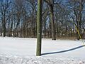 E. Boles Cottage site