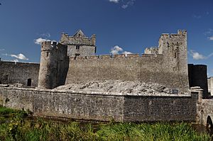 Exterior of Cahir Castle, 2010