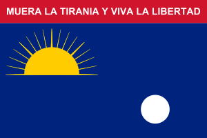Flag of Falcón