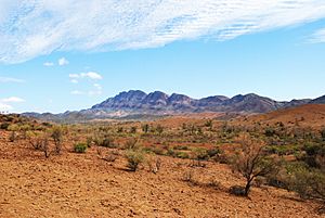 Flinders ranges pastoral land