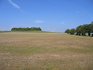 Goffers Knoll, Melbourn, Cambs - geograph.org.uk - 53045