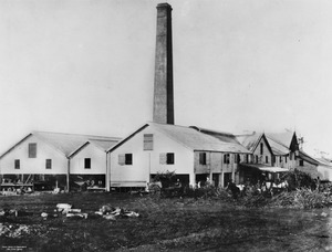 Habana Sugar Mill, 1895f
