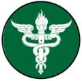 Health icon Thai