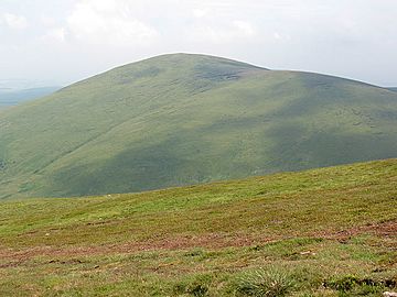 Hedgehope Hill from Scald Hill - geograph.org.uk - 1421255.jpg