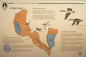 Interpretive sign near Lake Abert, Oregon
