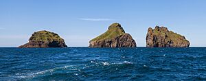 Islas Smáeyjar, Islas Vestman, Suðurland, Islandia, 2014-08-17, DD 034