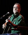 John Williamson Guitarist