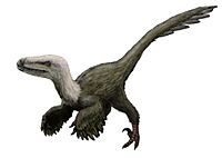 Kansaignathus.jpg