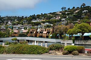 Lagoon Vista development in front of Hill Haven, Tiburon, 2011