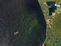 Lake Okeechobee, Florida by Planet Labs