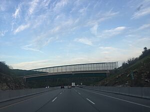 Laurel Highlands Trail