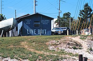 Live bait and fishing supply store
