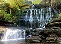 Machine falls in Coffee County, TN