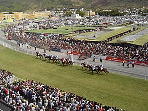 Maiden Cup 2006, Champ de Mars Racecourse, Port Louis, Mauritius - 20060910