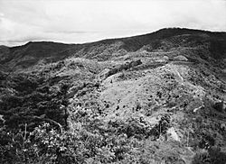 Mission Hill and Efogi 1944 (AWM image 072340).jpg