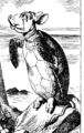Mock Turtle detail