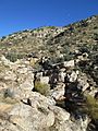 Molino Canyon From Vista Santa Catalina Mountains Arizona 2014