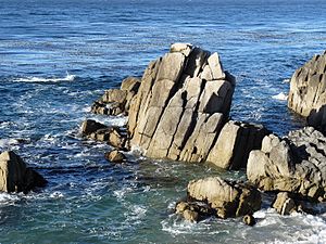 Monterey Bay Seascape