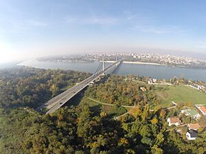 Most Slobode - Мост Слободе - panoramio